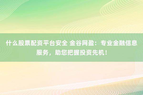 什么股票配资平台安全 金谷网盈：专业金融信息服务，助您把握投资先机！