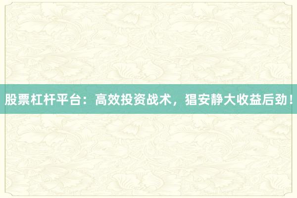 股票杠杆平台：高效投资战术，猖安静大收益后劲！